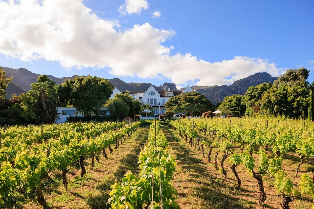 Cellars-Hohenort vineyards boutique wedding
