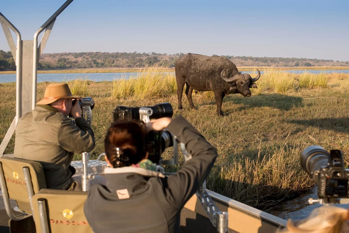 expeditions pangolin romantic African getaways