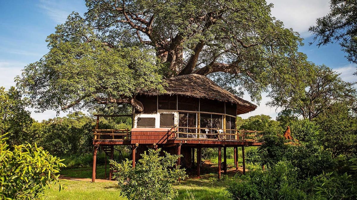 Glamping in africa-Tarangire-Treetops exterior view of Treehouse Suite
