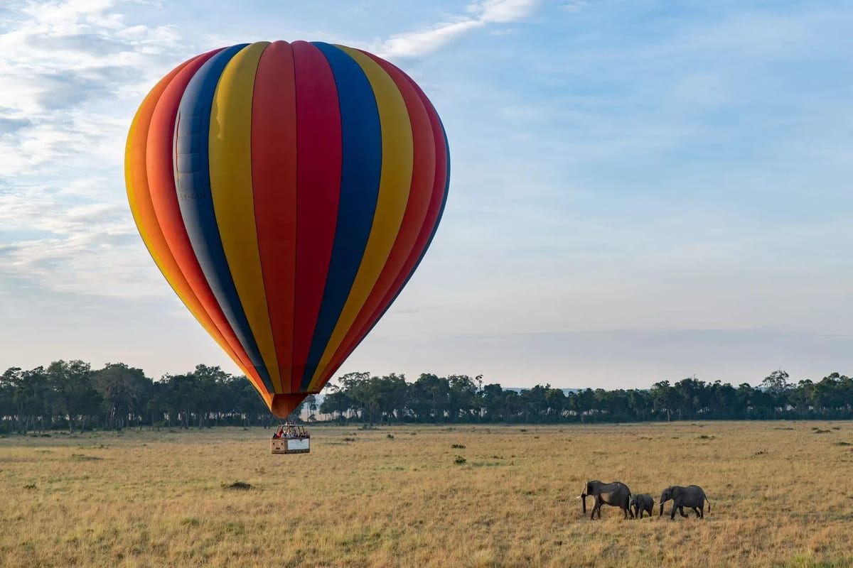 Governors balloon safaris kenya best country for safari
