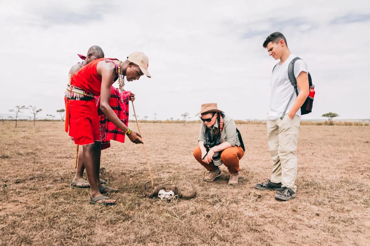 Maasai guided wildlife best African safari tours for couples