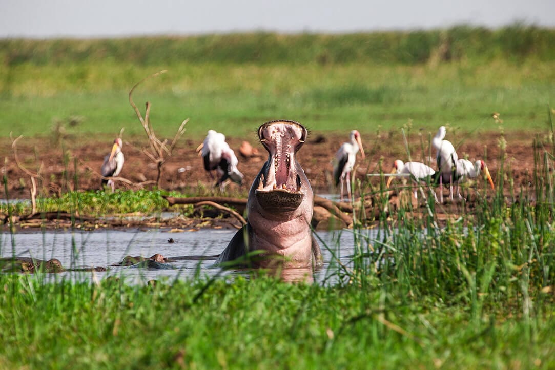 tanz-bestplaces-lakemanyara__0001_02