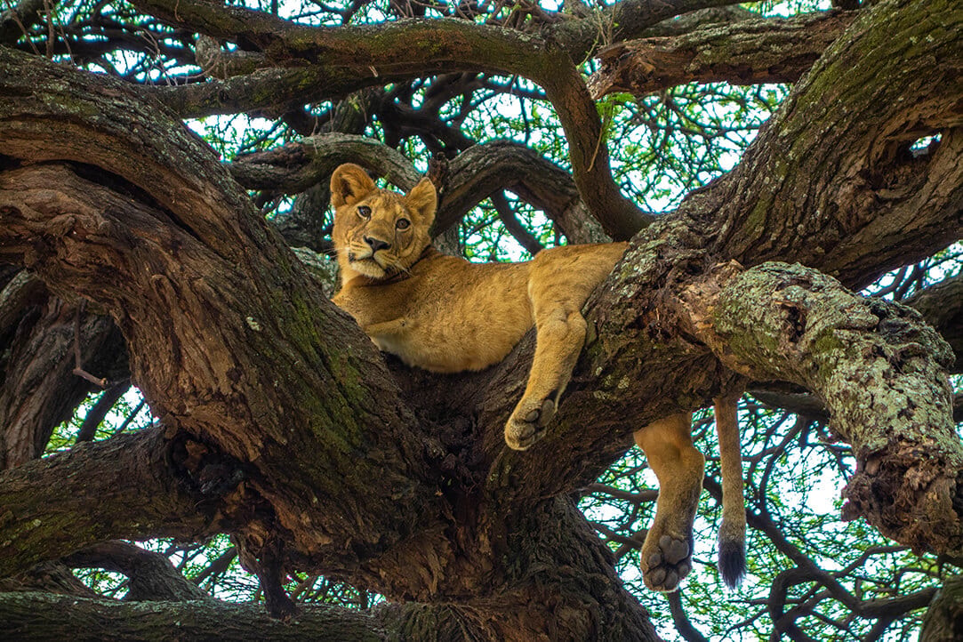 tanz-bestplaces-lakemanyara__0003_04