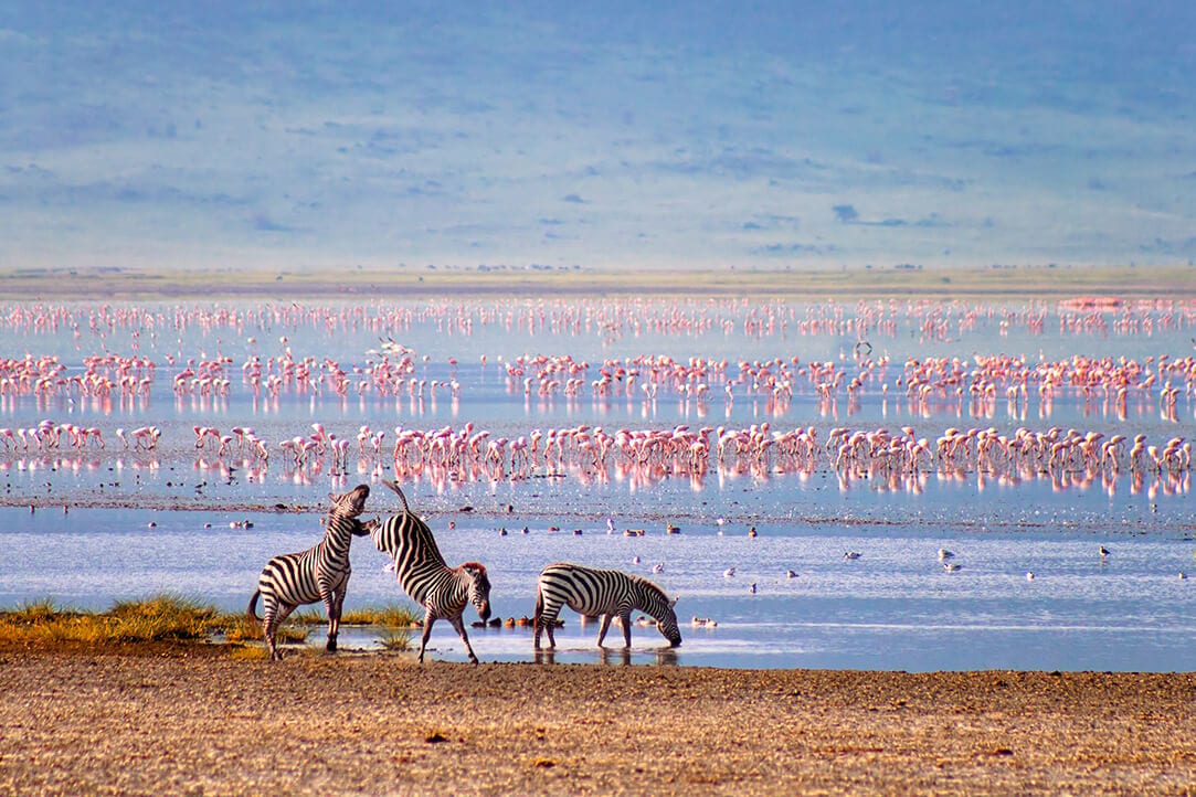 tanz-bestplaces-ngorongoro__0004_05
