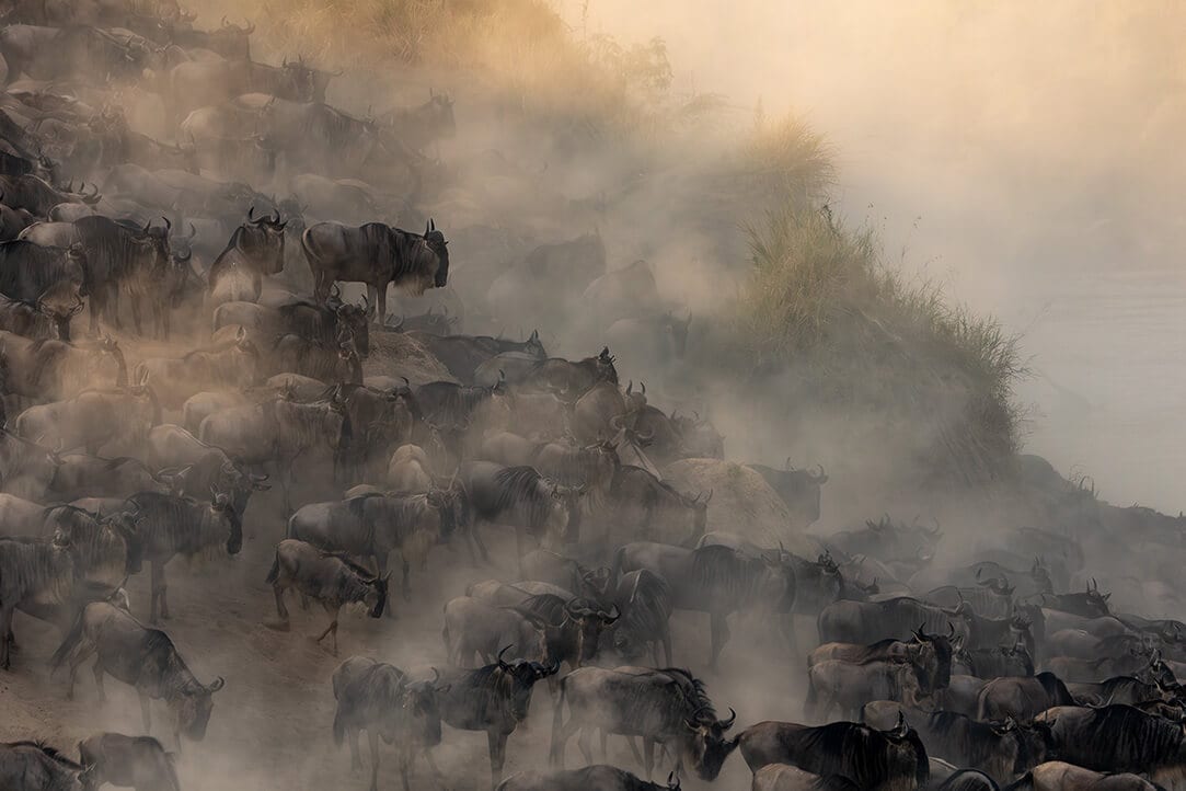 tanz-bestplaces-serengeti__0000_01