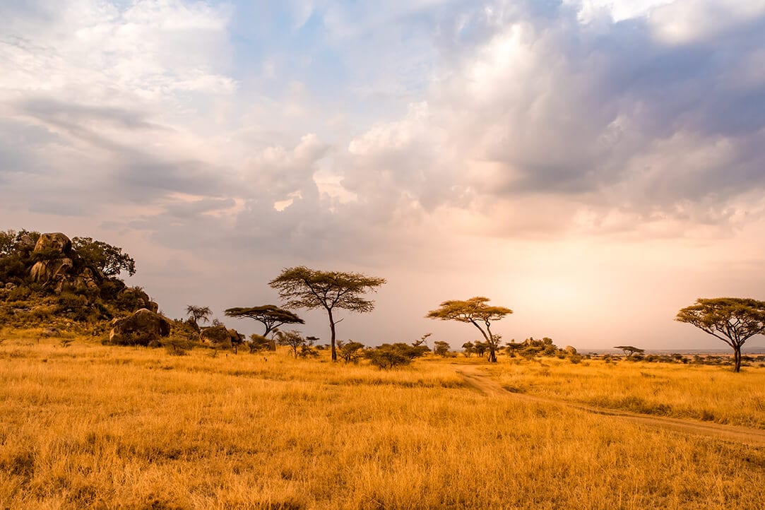 tanz-bestplaces-serengeti__0002_03