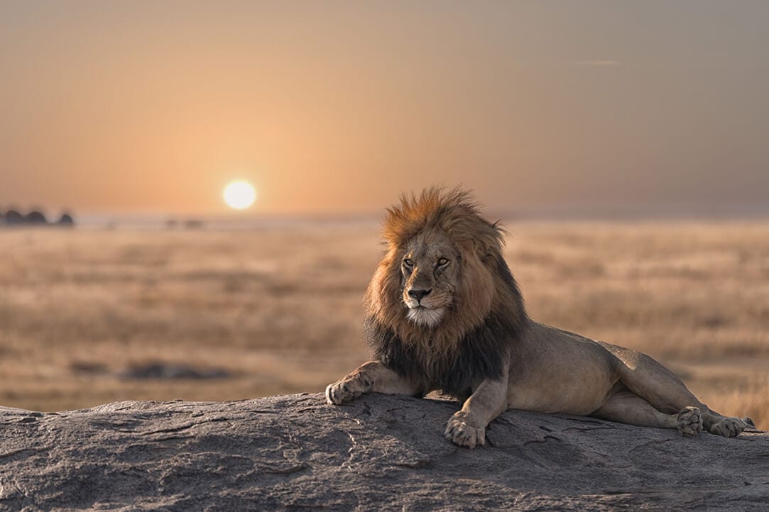 tanz-bestplaces-serengeti__0003_04