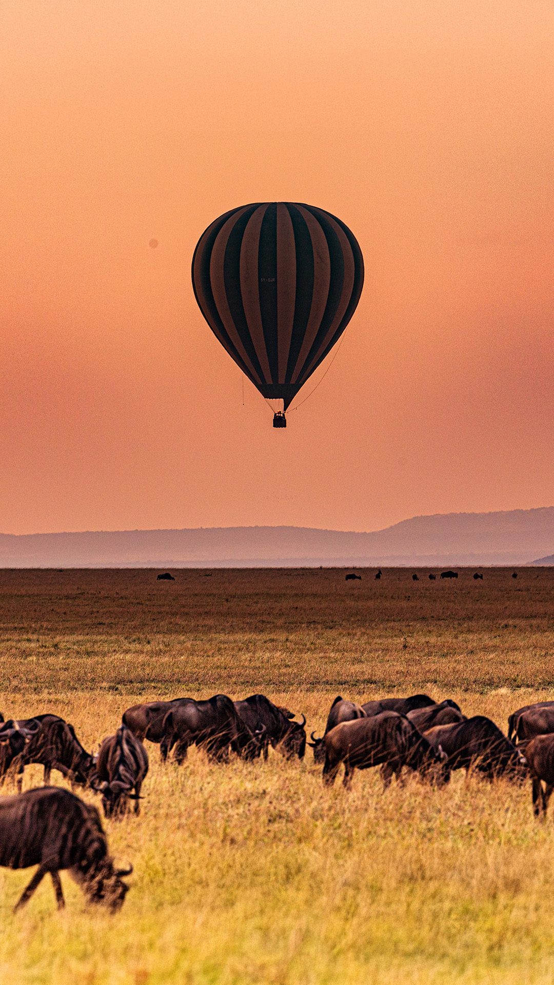 Serengeti safari wildlife experience