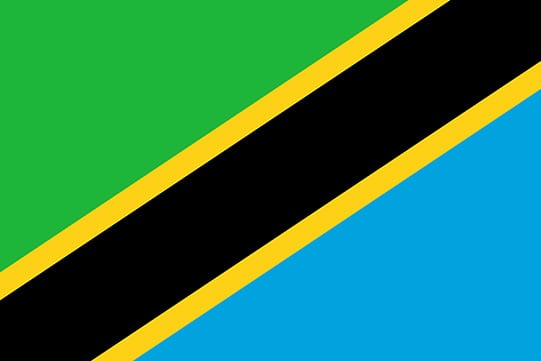 Tanzania national flag green blue black yellow
