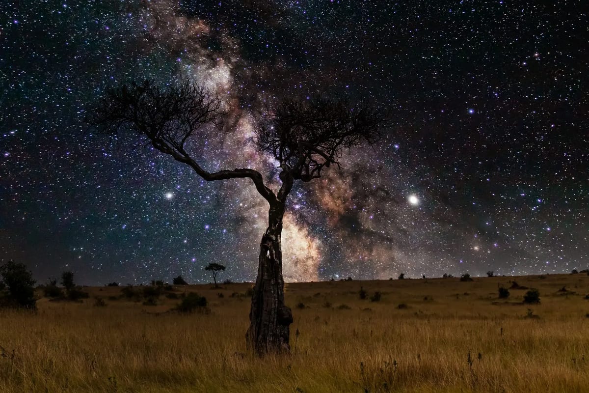 Tanzania stargazing