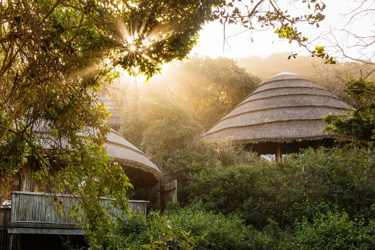 Thonga Beach Lodge forest rooms best beach resort