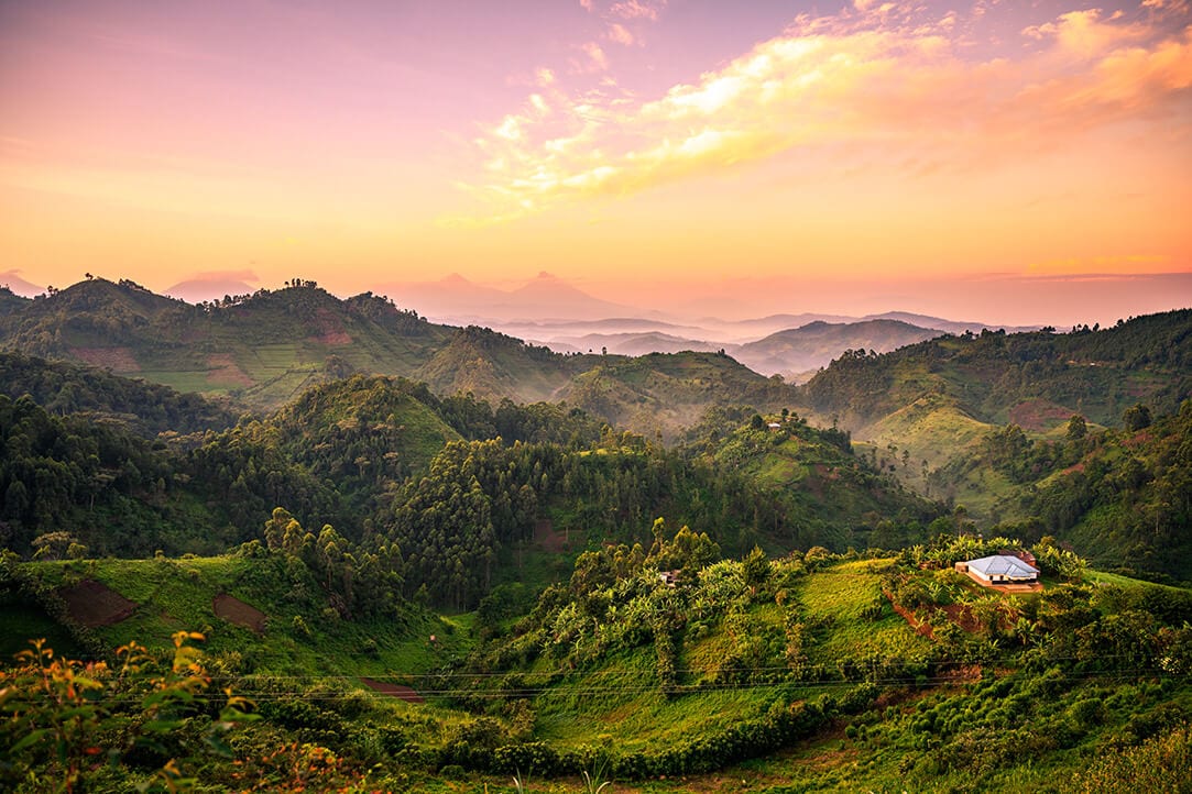 uganda-bestplaces-bwindi__0003_04