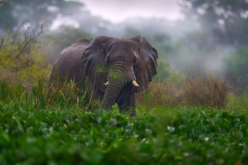uganda-header-img__0004_05