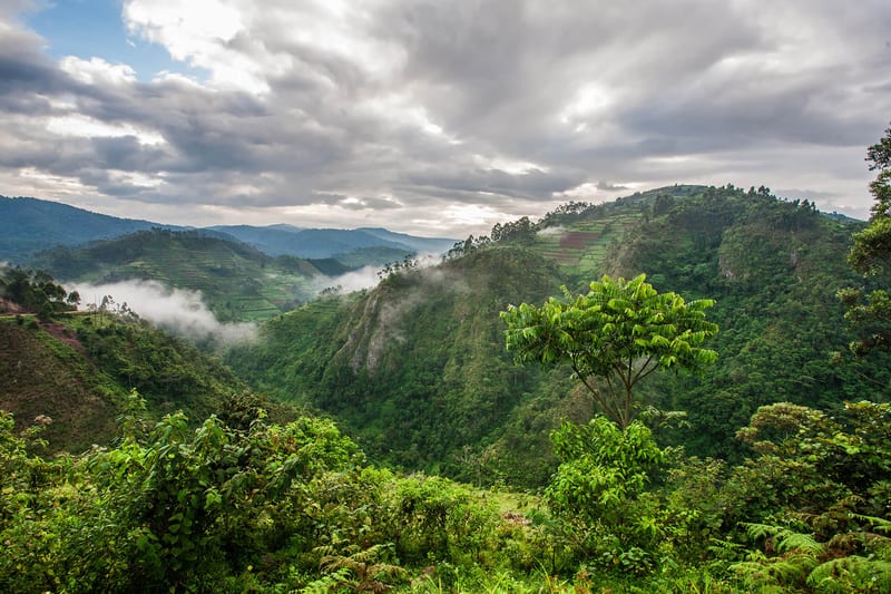 uganda-header-img__0008_09
