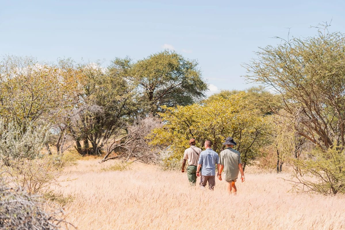 walking safari rhino tracking Namibia's Damaraland