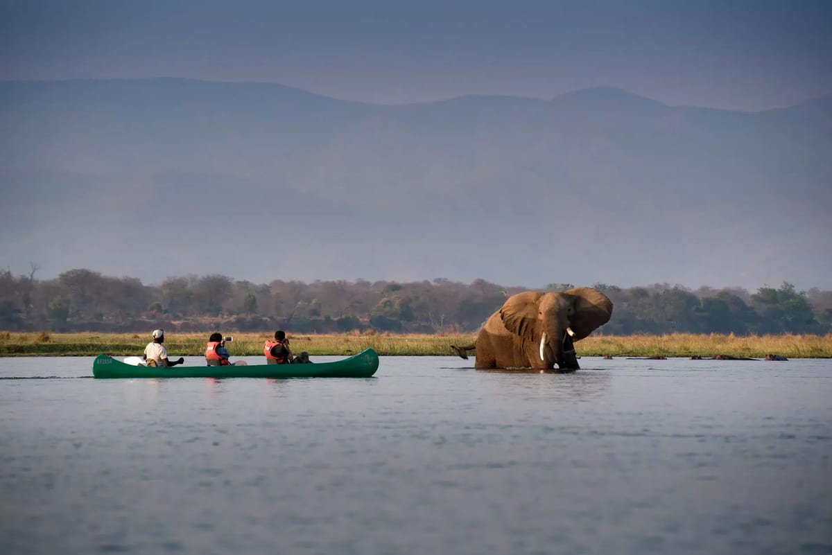 Zambezi expeditions Mana Pools National Park