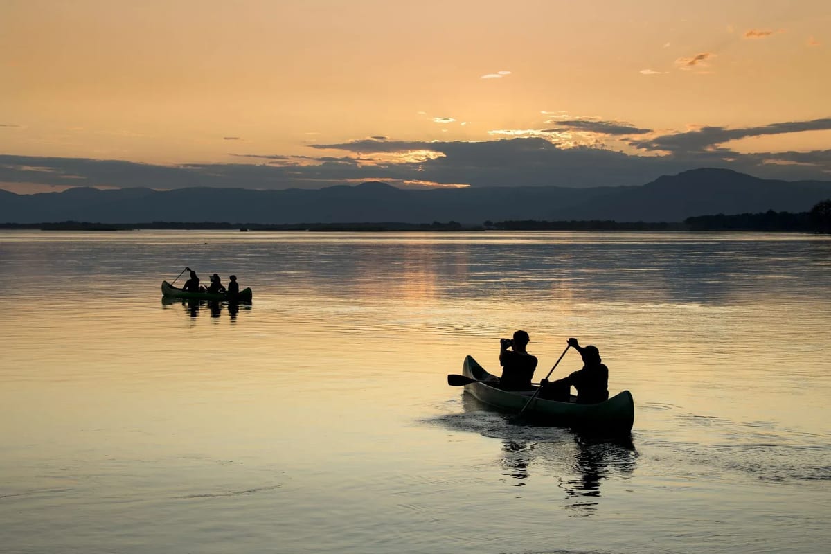 Zambia best country for safari