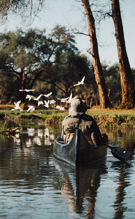 Zambia seasonal wildlife viewing