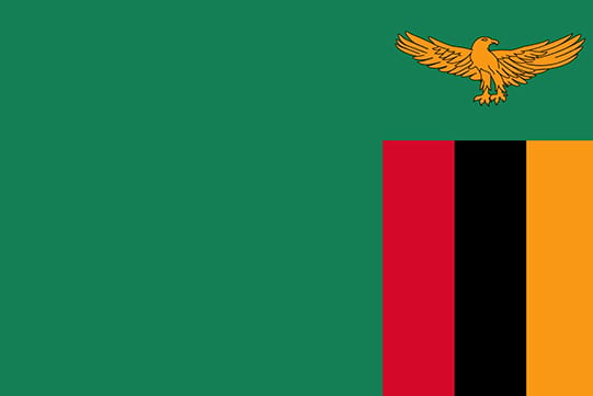 Zambia national flag with fish eagle