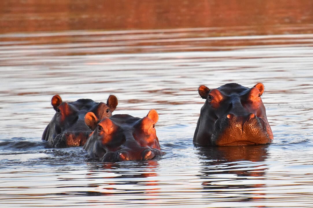 zimbabwe-bestplaces-lakekariba__0000_01