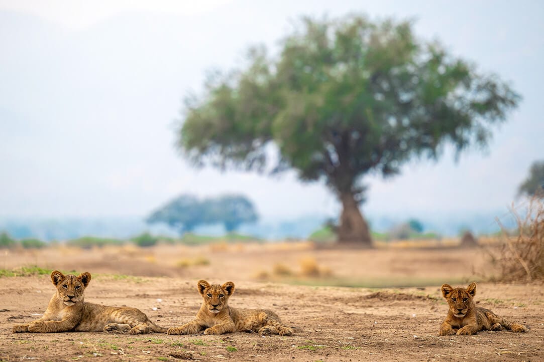 zimbabwe-bestplaces-manahwange__0000_01