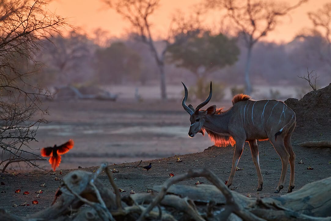 zimbabwe-bestplaces-manahwange__0001_02