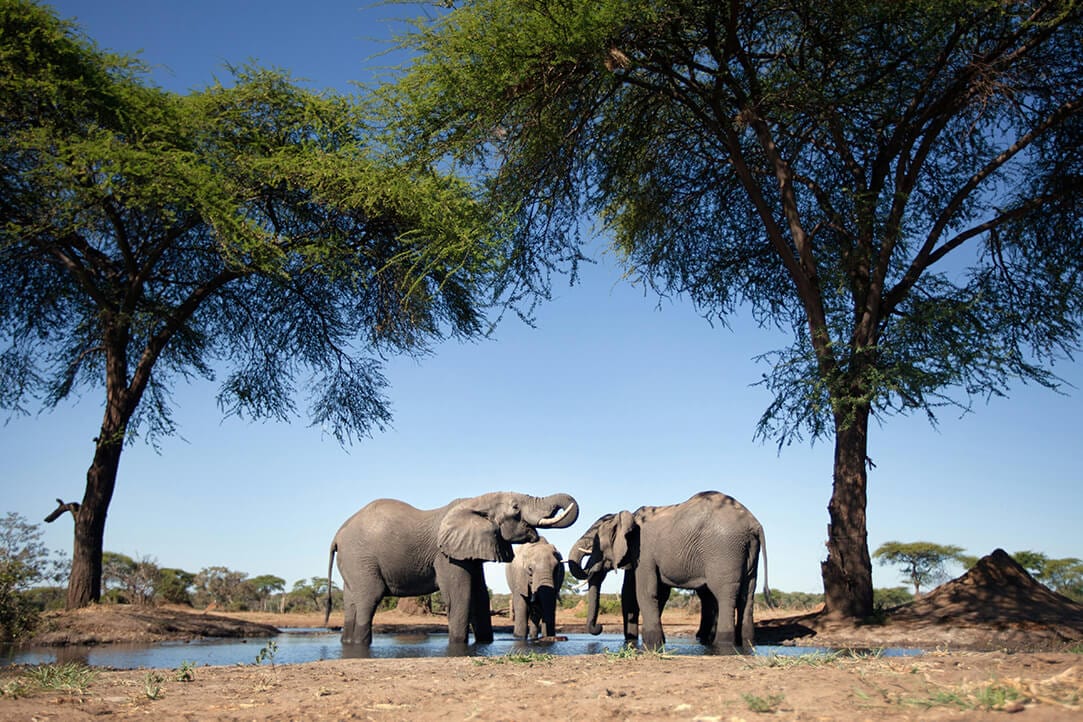 zimbabwe-bestplaces-manahwange__0003_04