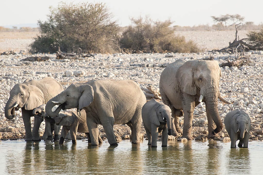 zimbabwe-bestplaces-manahwange__0004_05