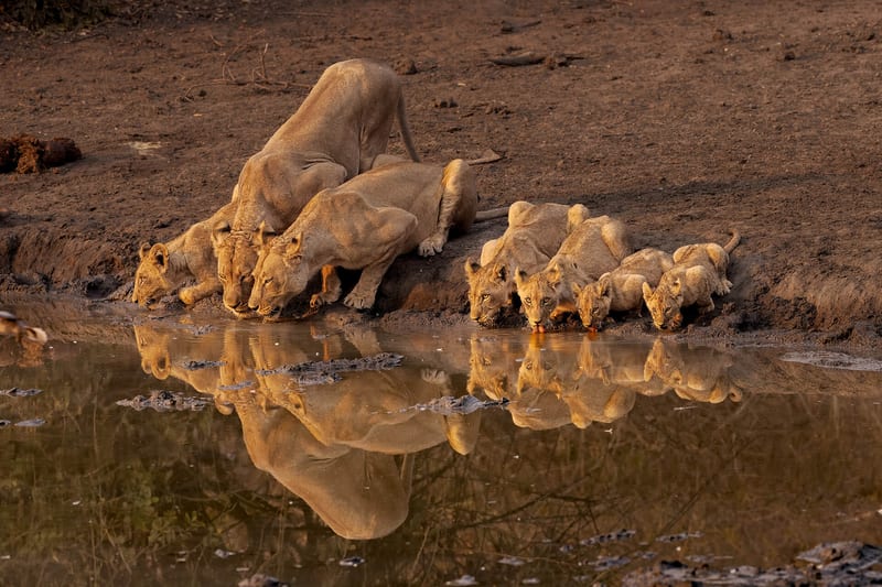 zimbabwe-header-img__0000_01
