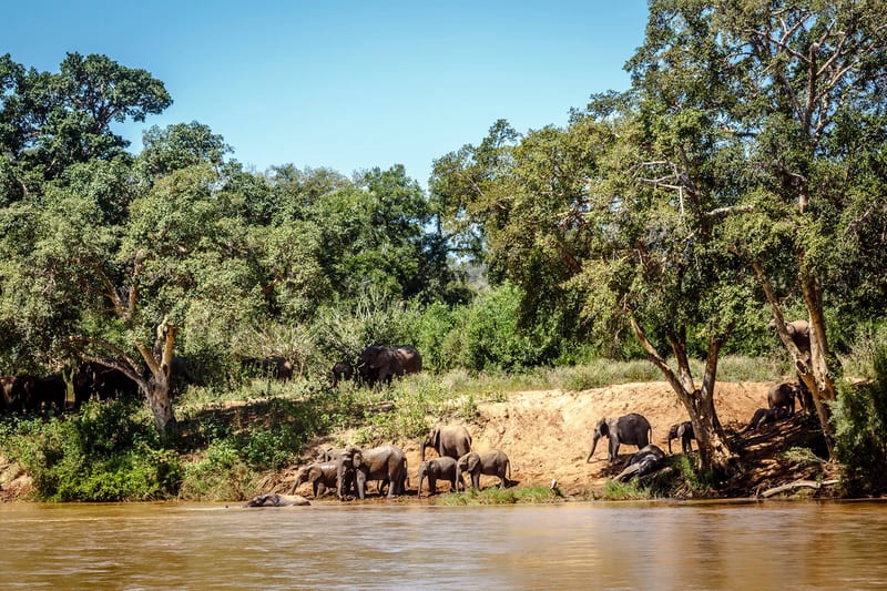 zimbabwe-header-img__0008_09