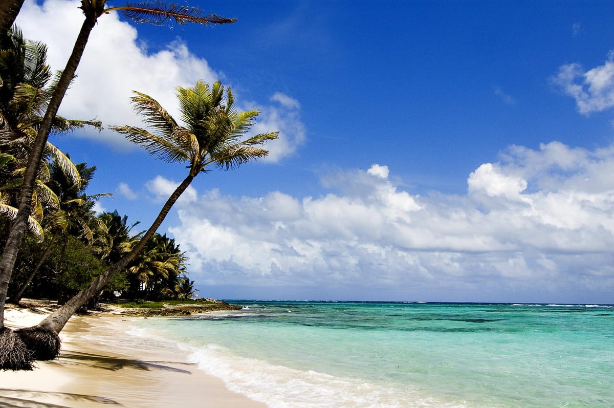 Tropical beach scene at Diani Beach Kenya coastline