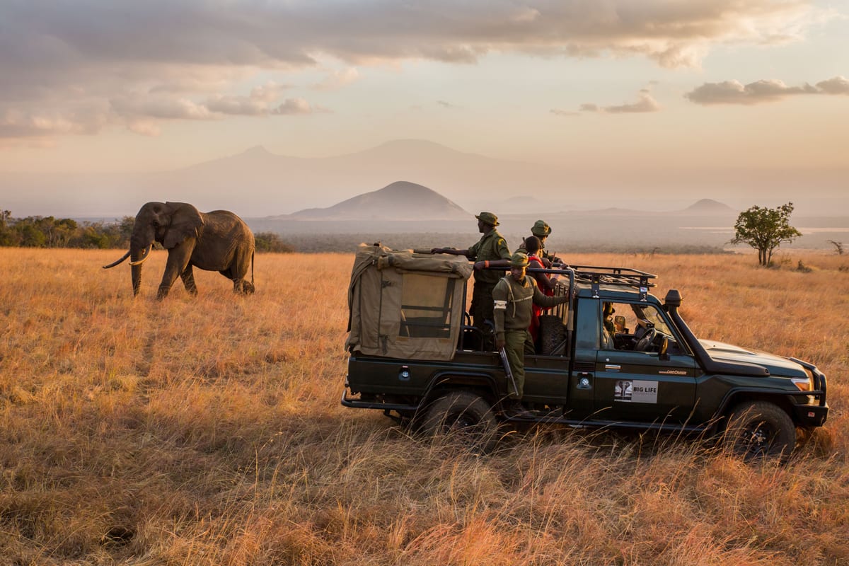 Conservation project in Kenya savannah landscape