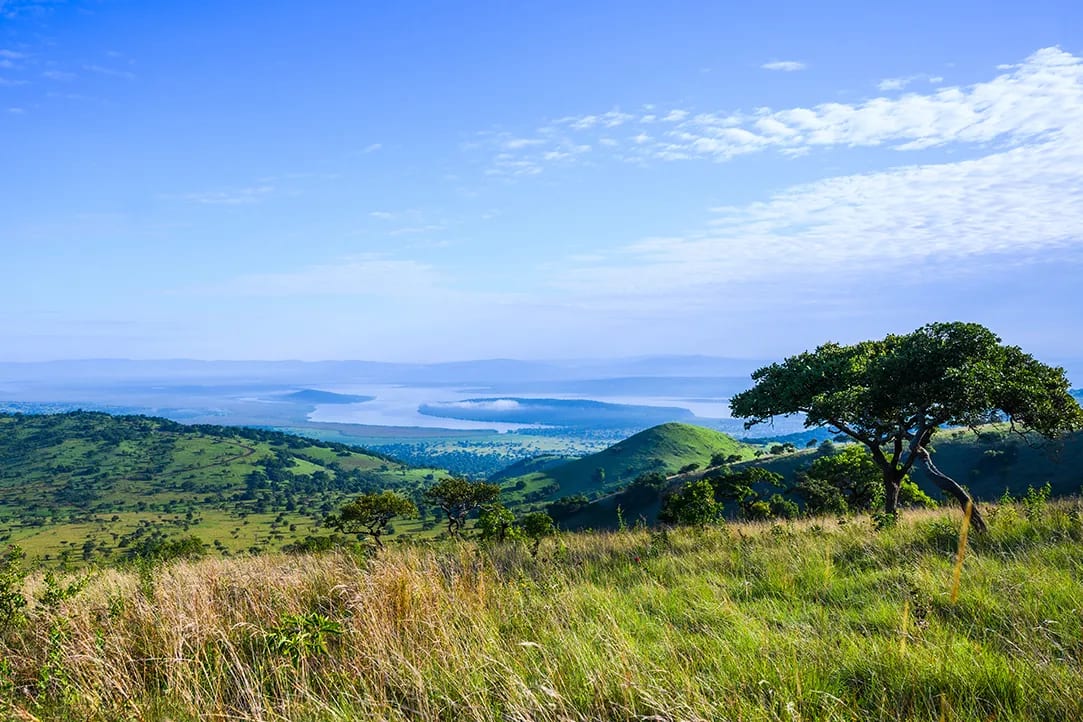 randa-bestplaces-akagera-_0001_02