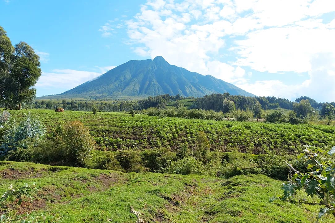 rwanda-bestplaces-volcanoes-_0001_02