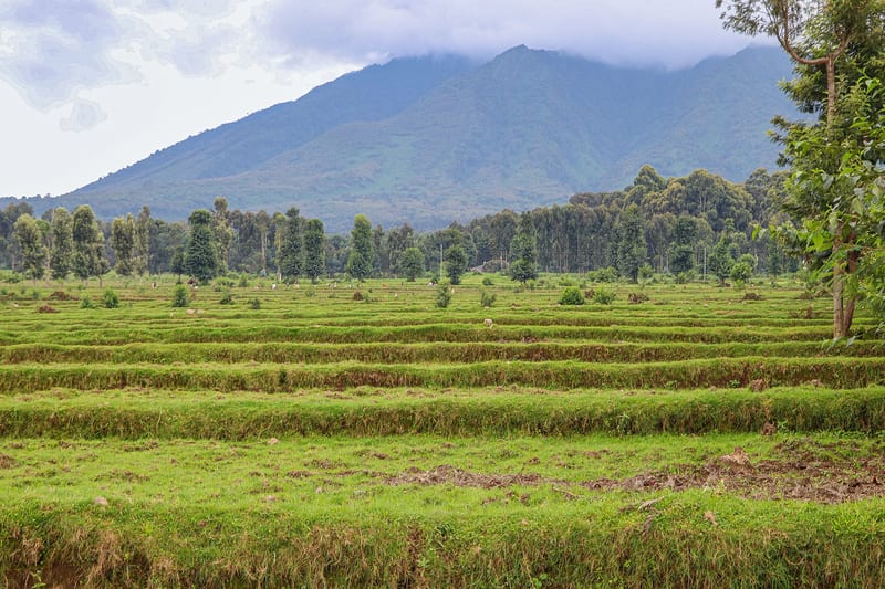 rwanda-header-img-_0003_04