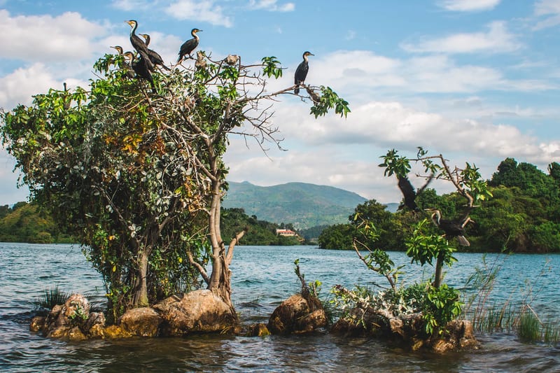 rwanda-header-img-_0009_10